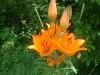 2003_0703_134545AA.jpg
